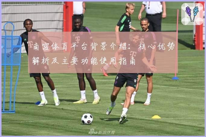 南宫体育平台背景介绍：核心优势解析及主要功能使用指南